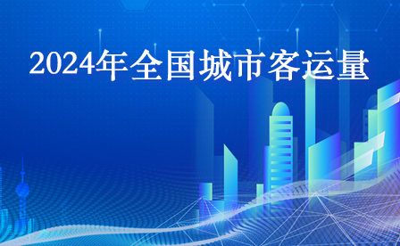 2024年全国城市客运量